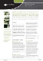 frontpage of factsheet