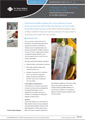 Improving Literacy and Numeracy for the Māori Workforce
