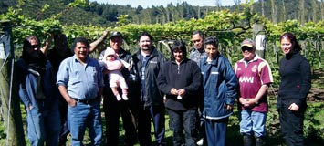 Kiwifruit Orchard workers