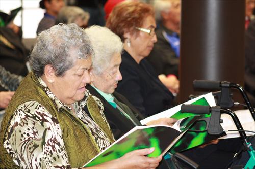 Launch of Te Reo Mauriora