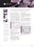 maori in the workforce factsheet cover