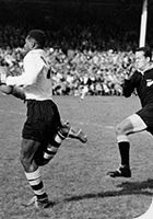 rugby fiji
