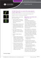 Maori Purposes Bill