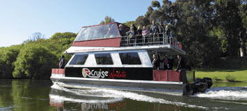 cruise