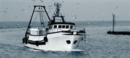 Fishing Vessel