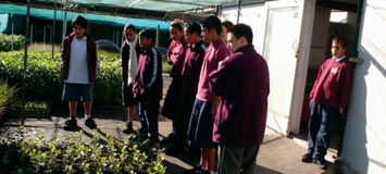 Kura students