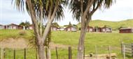 Kaumātua homes