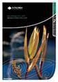 soi cover