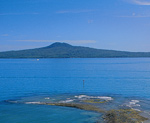 Tamaki Makaurau