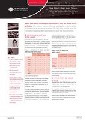 maori in sport factsheet cover