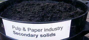 Pulp & paper secondary solids