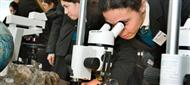 Māori whanau in science
