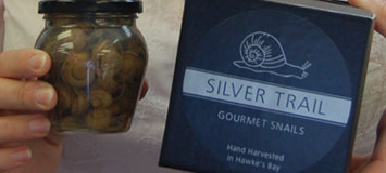 silvertrail