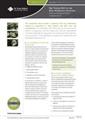Roles and Responsibilities in Aquaculture cover