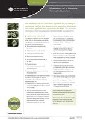 Planning for Aquaculture cover