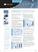 maori graduates factsheet cover