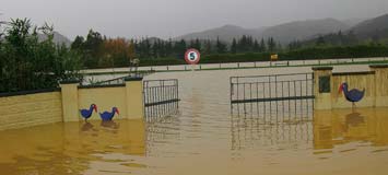 Flooded area