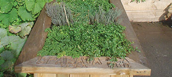 garden beds