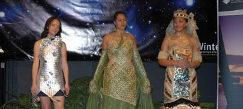 Toi Whakamau