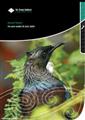 Annual Report 2009