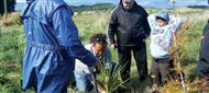 planting native plants