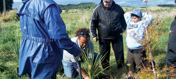planting native plants