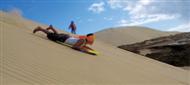 Guardians of the Dunes