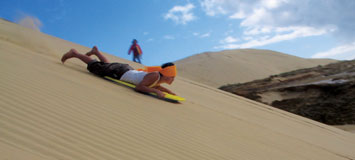 Guardians of the Dunes