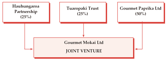 Diagram of the structure of Gourmet Mokai Limited. 