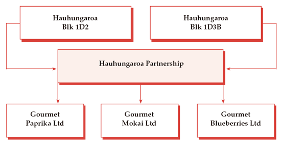 Diagram of the organisational structure of Hauhungaroa Partnership. 