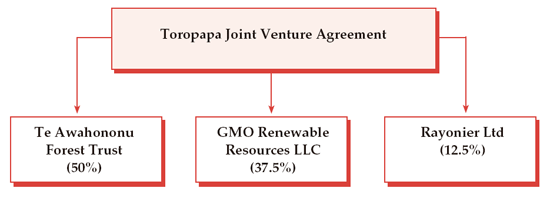 Diagram of the structure of Toropapa Partnership. 