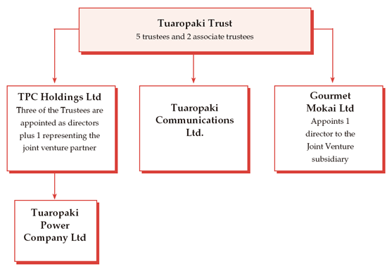 Diagram of the organisational structure of Tuaropaki Trust. 
