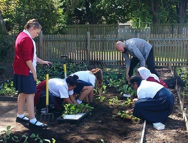 People gardening