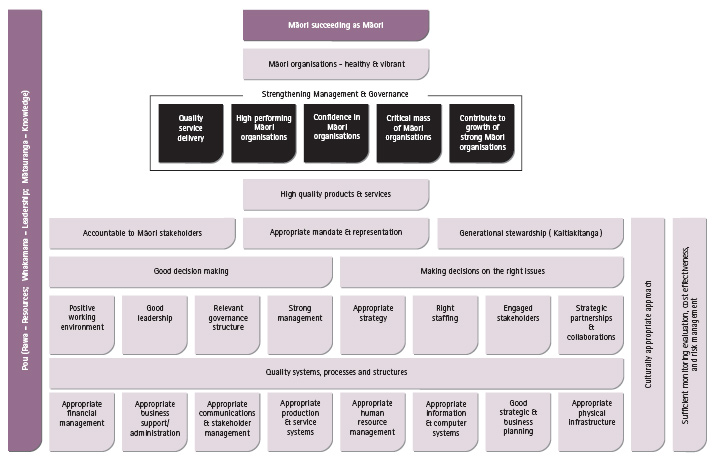 Chart of the Draft outcomes model for healthy, vibrant and excellent Maori organisations