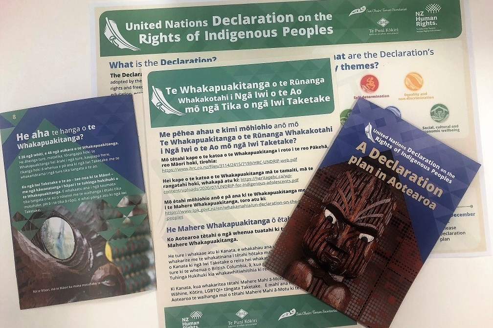 UN Declaration on the Rights of Indigenous Peoples